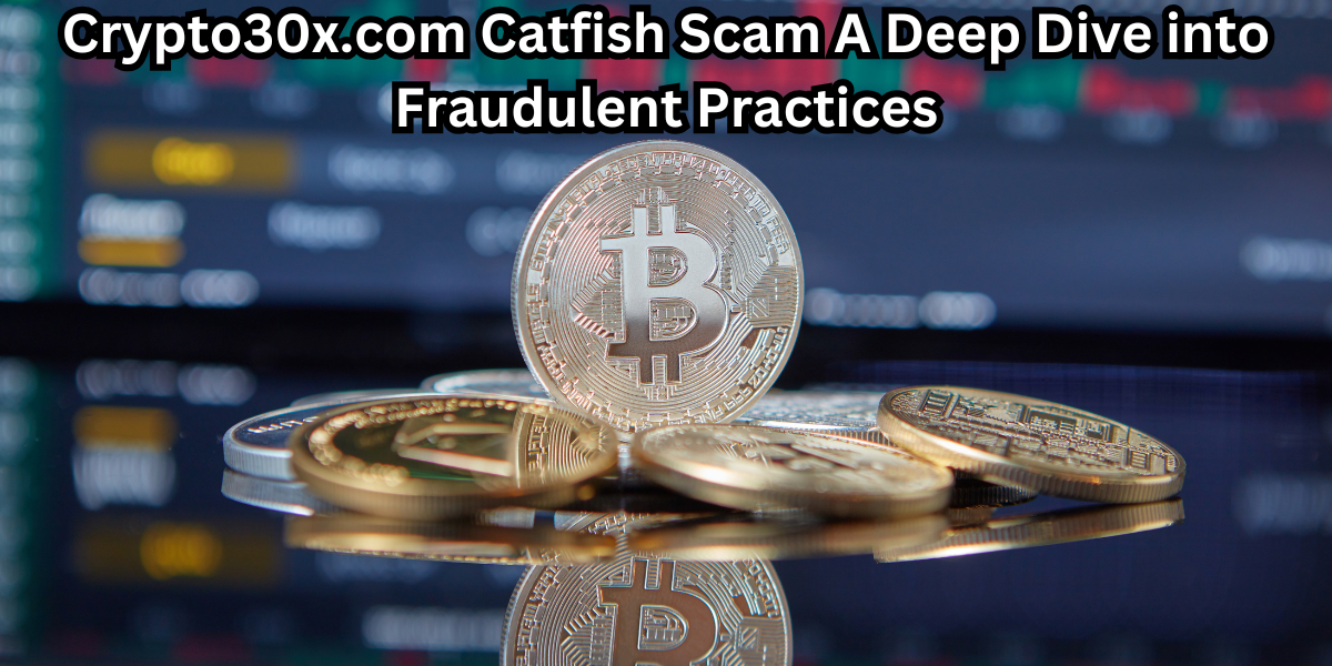 Crypto30x.com Catfish Scam A Deep Dive into Fraudulent Practices